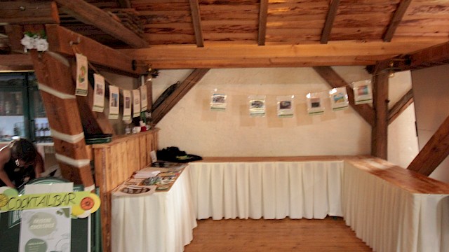 Um Projektideen zu finden, hat der Jugendbeirat eine Galerie mit den bisherigen Projekten erstellt.